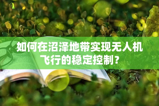 如何在沼泽地带实现无人机飞行的稳定控制？