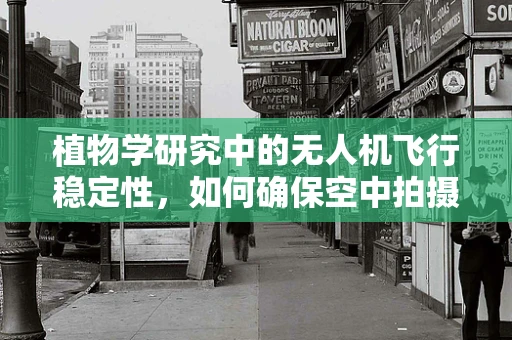 植物学研究中的无人机飞行稳定性，如何确保空中拍摄的精准与清晰？