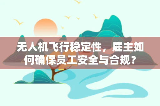 无人机飞行稳定性，雇主如何确保员工安全与合规？
