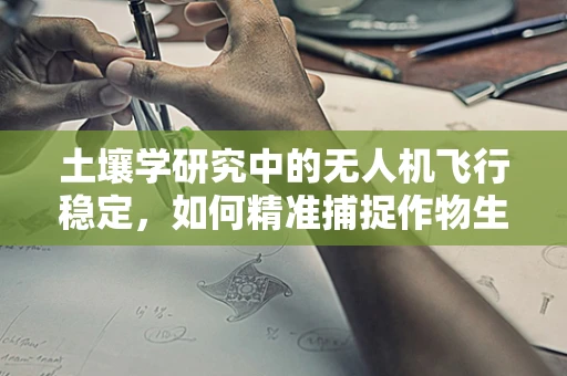 土壤学研究中的无人机飞行稳定，如何精准捕捉作物生长信息？