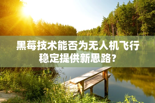 黑莓技术能否为无人机飞行稳定提供新思路？