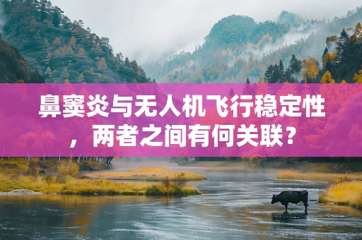 鼻窦炎与无人机飞行稳定性，两者之间有何关联？
