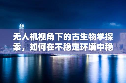 无人机视角下的古生物学探索，如何在不稳定环境中稳定飞行以保护化石遗址？