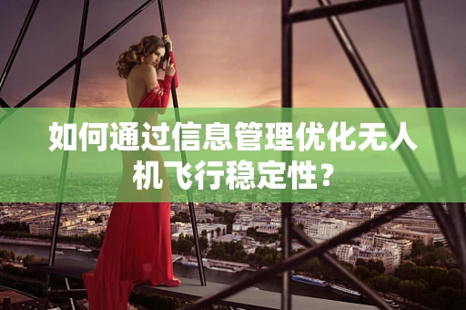 如何通过信息管理优化无人机飞行稳定性？