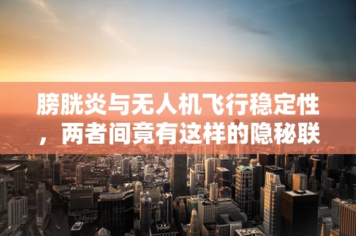 膀胱炎与无人机飞行稳定性，两者间竟有这样的隐秘联系？