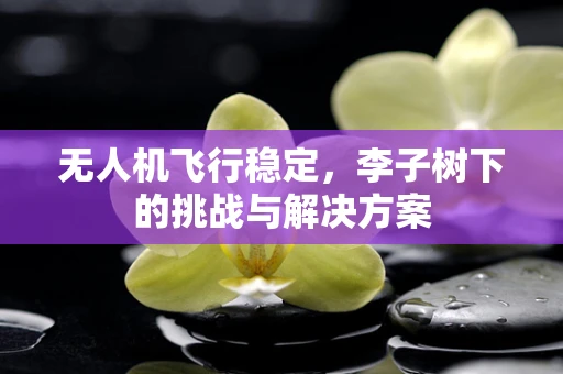 无人机飞行稳定，李子树下的挑战与解决方案