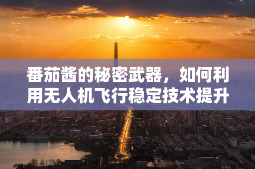 番茄酱的秘密武器，如何利用无人机飞行稳定技术提升空中拍摄的稳定性？