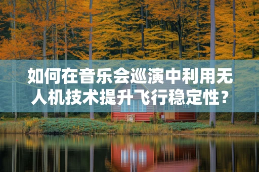 如何在音乐会巡演中利用无人机技术提升飞行稳定性？