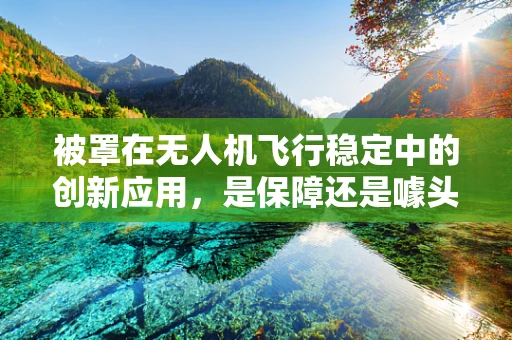 被罩在无人机飞行稳定中的创新应用，是保障还是噱头？