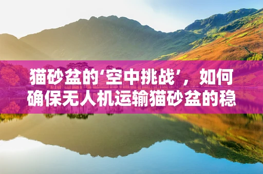 猫砂盆的‘空中挑战’，如何确保无人机运输猫砂盆的稳定性？