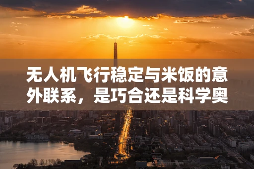 无人机飞行稳定与米饭的意外联系，是巧合还是科学奥秘？