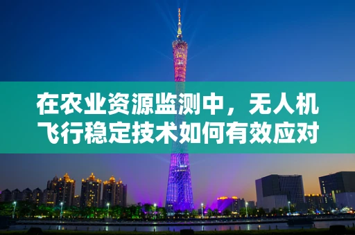 在农业资源监测中，无人机飞行稳定技术如何有效应对复杂环境挑战？