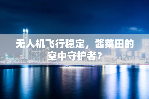 无人机飞行稳定，酱菜田的空中守护者？