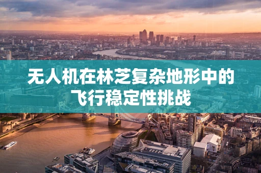 无人机在林芝复杂地形中的飞行稳定性挑战