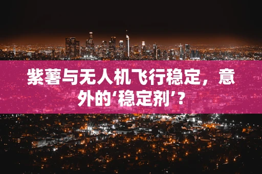 紫薯与无人机飞行稳定，意外的‘稳定剂’？
