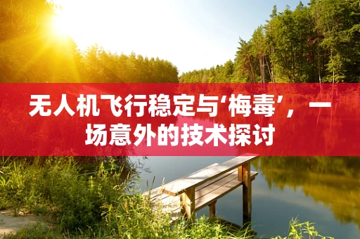 无人机飞行稳定与‘梅毒’，一场意外的技术探讨