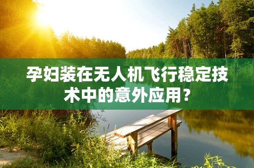 孕妇装在无人机飞行稳定技术中的意外应用？