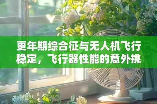 更年期综合征与无人机飞行稳定，飞行器性能的意外挑战？