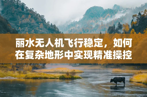 丽水无人机飞行稳定，如何在复杂地形中实现精准操控？