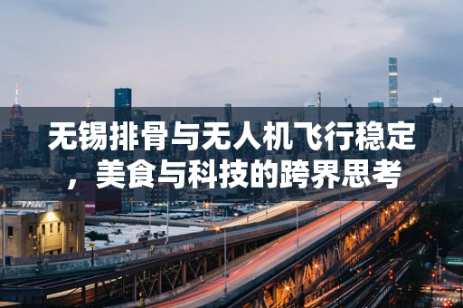 无锡排骨与无人机飞行稳定，美食与科技的跨界思考