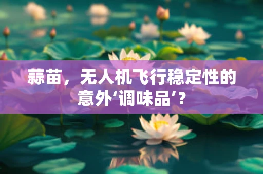 蒜苗，无人机飞行稳定性的意外‘调味品’？