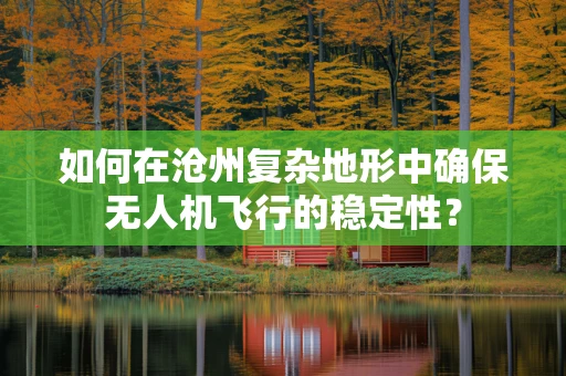 如何在沧州复杂地形中确保无人机飞行的稳定性？
