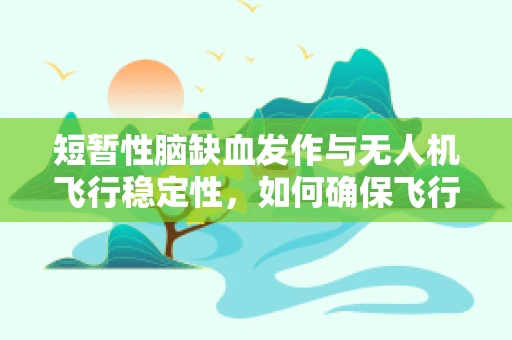 短暂性脑缺血发作与无人机飞行稳定性，如何确保飞行安全？