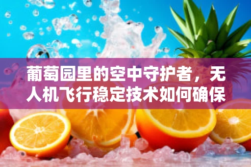 葡萄园里的空中守护者，无人机飞行稳定技术如何确保精准喷洒？