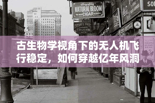 古生物学视角下的无人机飞行稳定，如何穿越亿年风洞？