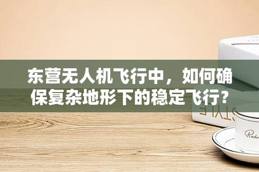 东营无人机飞行中，如何确保复杂地形下的稳定飞行？