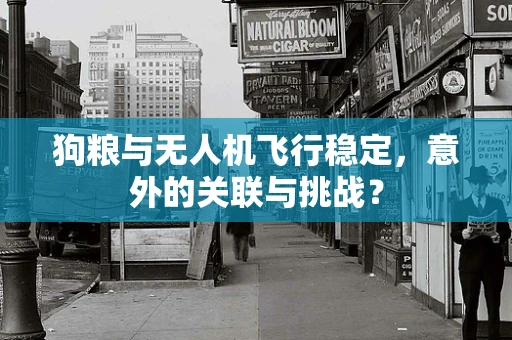 狗粮与无人机飞行稳定，意外的关联与挑战？