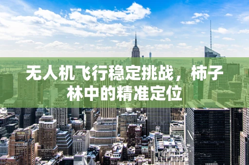 无人机飞行稳定挑战，柿子林中的精准定位