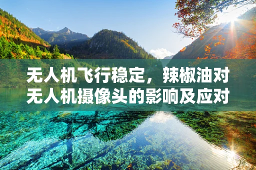 无人机飞行稳定，辣椒油对无人机摄像头的影响及应对策略