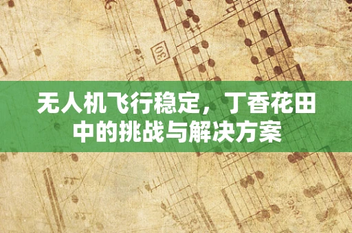 无人机飞行稳定，丁香花田中的挑战与解决方案