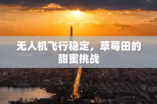 无人机飞行稳定，草莓田的甜蜜挑战