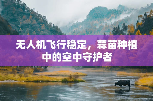 无人机飞行稳定，蒜苗种植中的空中守护者