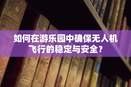 如何在游乐园中确保无人机飞行的稳定与安全？