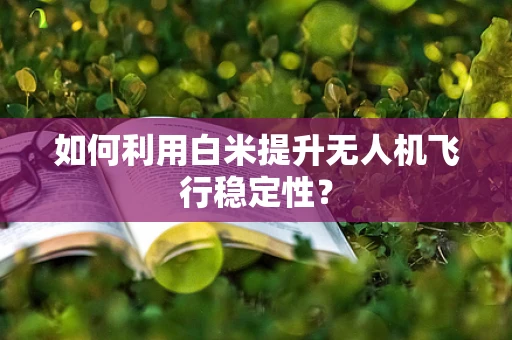 如何利用白米提升无人机飞行稳定性？