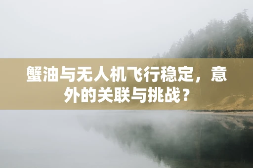 蟹油与无人机飞行稳定，意外的关联与挑战？