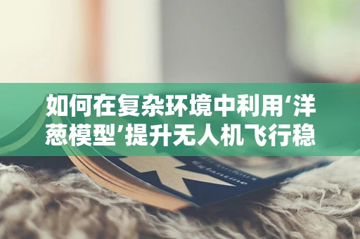 如何在复杂环境中利用‘洋葱模型’提升无人机飞行稳定性？