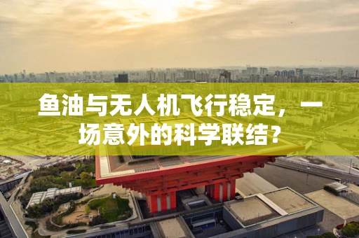 鱼油与无人机飞行稳定，一场意外的科学联结？