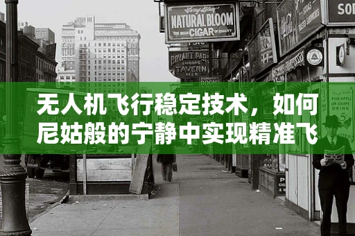 无人机飞行稳定技术，如何尼姑般的宁静中实现精准飞行？