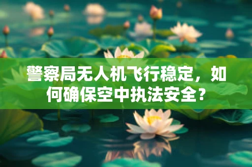 警察局无人机飞行稳定，如何确保空中执法安全？