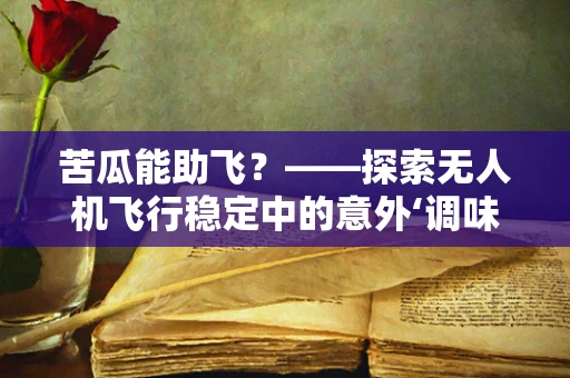 苦瓜能助飞？——探索无人机飞行稳定中的意外‘调味’