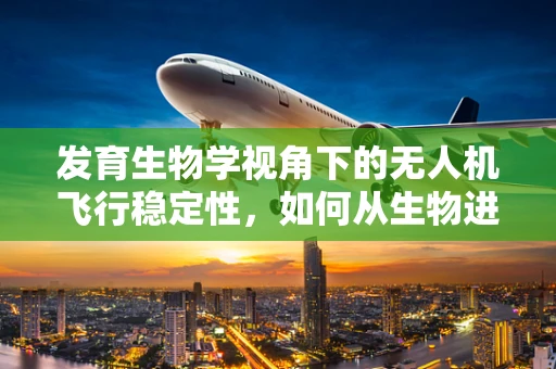 发育生物学视角下的无人机飞行稳定性，如何从生物进化中汲取灵感？
