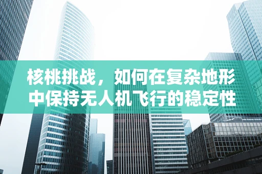 核桃挑战，如何在复杂地形中保持无人机飞行的稳定性？