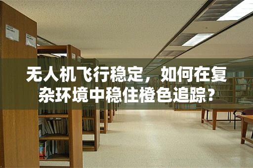无人机飞行稳定，如何在复杂环境中稳住橙色追踪？