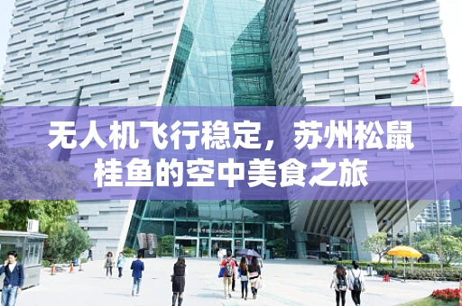 无人机飞行稳定，苏州松鼠桂鱼的空中美食之旅