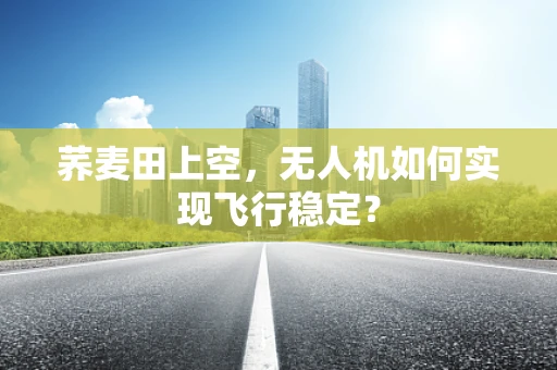 荞麦田上空，无人机如何实现飞行稳定？