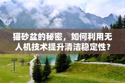 猫砂盆的秘密，如何利用无人机技术提升清洁稳定性？